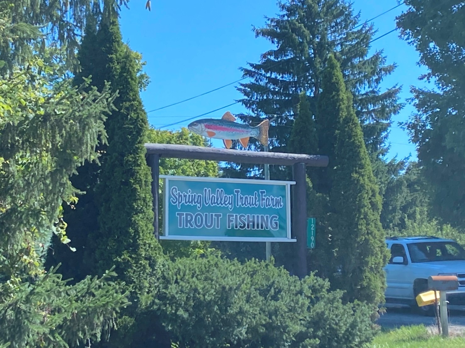 ミシガン湖まで行けない時は近場で釣り欲発散！ノバイから1時間圏内の釣り堀Spring Valley Trout Farmでトラウトフィッシング
